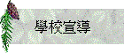 Ǯիž